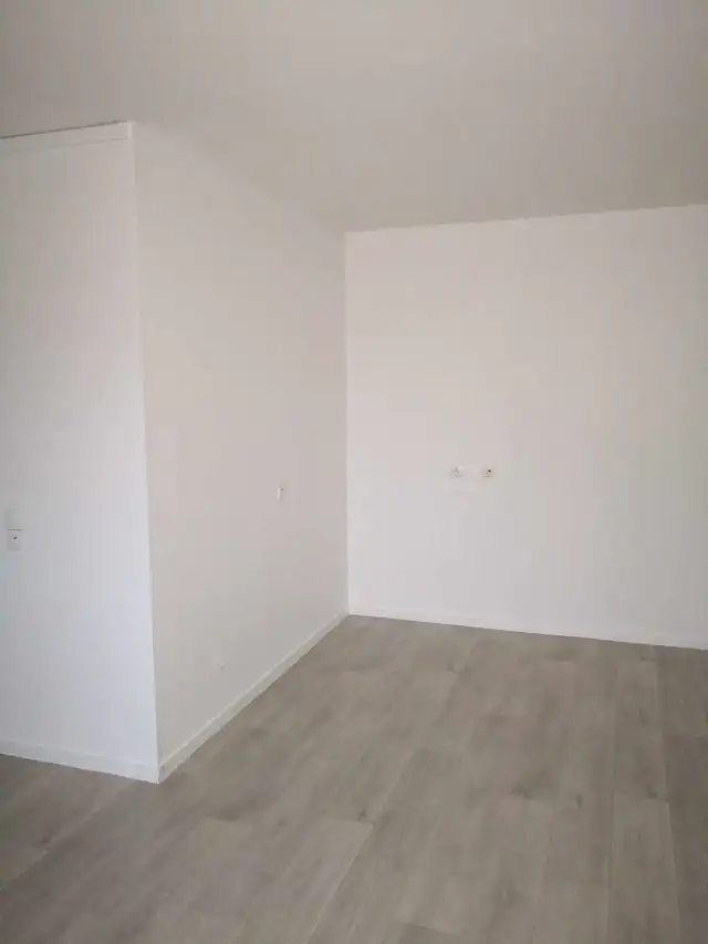 Experienced painter at a good price 438-889-9433 Mtl, Nord/Bordertown63007357506689121