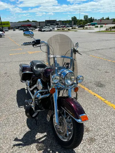 Nice bike runs as it should. New Tires and battery in 2025. Hydraulic cam tensioners. Passenger back...