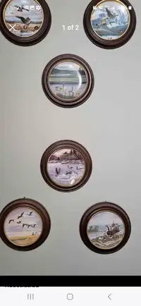 Duck Plates in frames