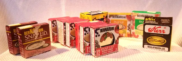 Bernardin Mason Jar Snap Lids63351295474945121