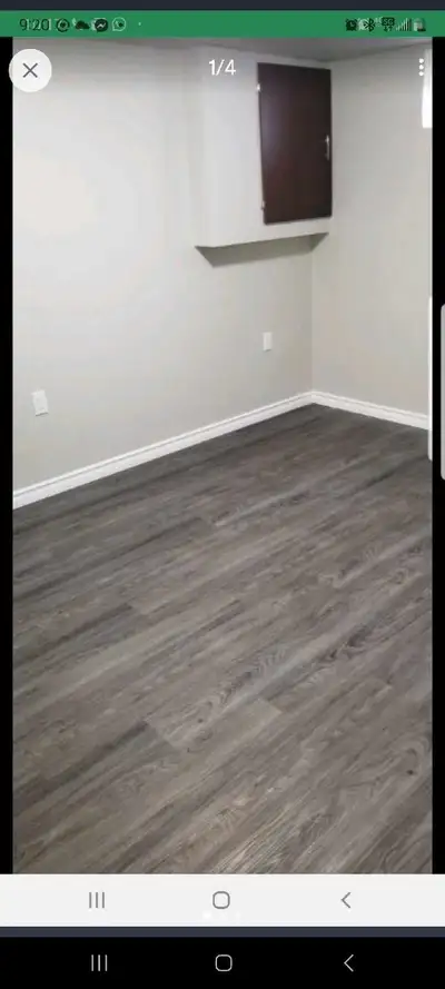 one room in basement(maple)