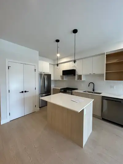 BRAND NEW 1 BEDROOM APARTMENT DOWNTOWN LANGFORD