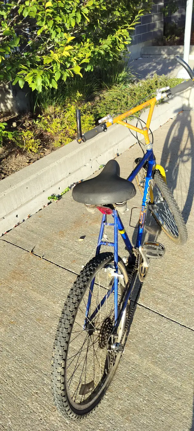 26'' bicycle in Mountain in Markham / York Region - Image 3