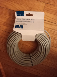 Cat 6 Ethernet Cable 100ft