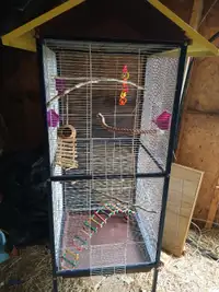 Cage oiseaux/ volière