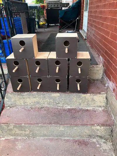 Nest boxes for finches $25 - $45, budgies $30.00, English budgie $35.00, lovebirds $45.00, linnies $...