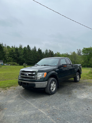 2013 Ford F 150