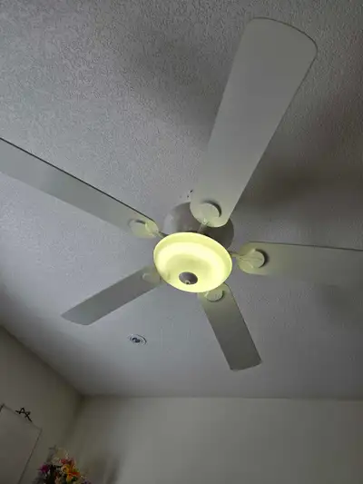 ceiling fan with light and remote, View more