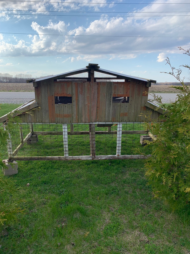 Rabbit pen (could be remodeled for chicken coop) in Other in Chatham-Kent - Image 2