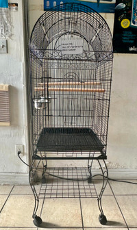 "20''*20''*60' parrot open top cage brand new on sale at TT pets