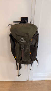 Gregory Day Trip Hiking Backpack 