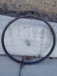 Bike tire and rim