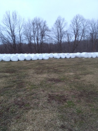 FOR SALE Wrapped round bales