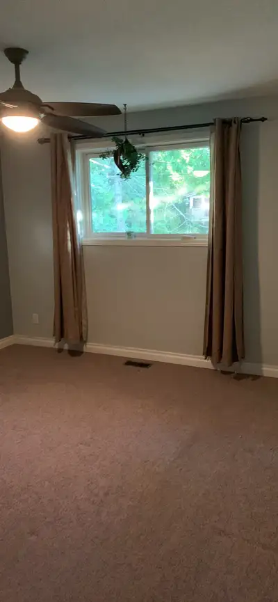 Room for rent all inclusive, must like dogs . Looking for July occupancy and rent only to females. M...