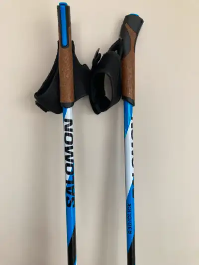 XC Ski Poles, View more