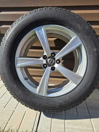 Volvo original winter rims came off 2016 XC90. Michelin XIce winters tires used 1 season.