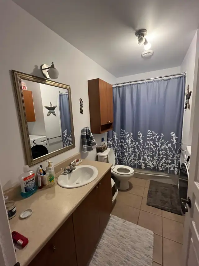 Appartement 4 1/2 à louer in Beds & Mattresses in Sherbrooke - Image 6