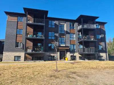 Je me cherche un/e coloc pour le 1 juillet idealement à long terme. Dans un beau 4 1/2 style condo A...