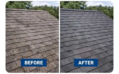 ROOF REPLACEMENT 343 961 6347, View more