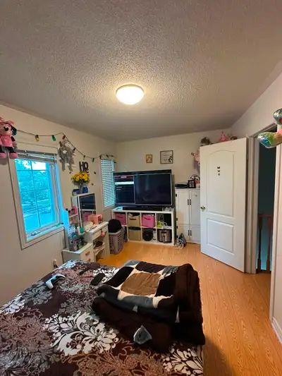 A good size room for rent on top floor in Brampton ( torbram and bovaird) , shared kitchen with fami...