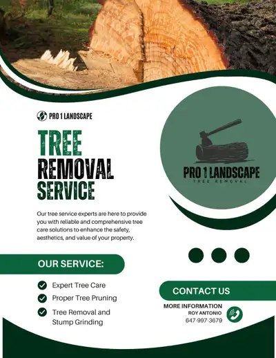 Fall Cleanup! Affordable Tree Removal services in HALTON., View more