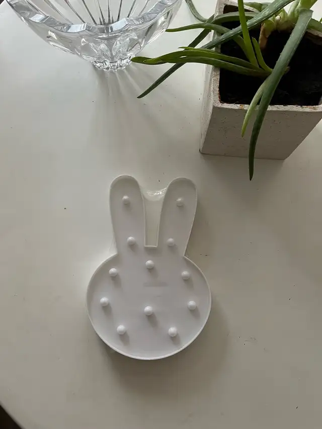 Vicila Rabbit Light543429128178247682