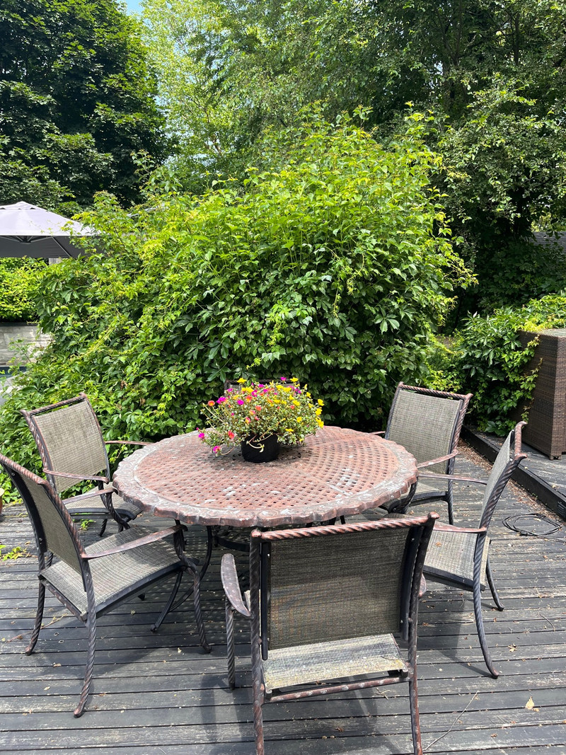 Heavy cast aluminum outdoor dining set, 6 chairs & Umbrella Patio