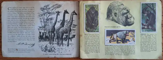 1962 Brooke Bond 50 Teacard Set in Album " African Wildlife" in Arts & Collectibles in Petawawa - Image 4