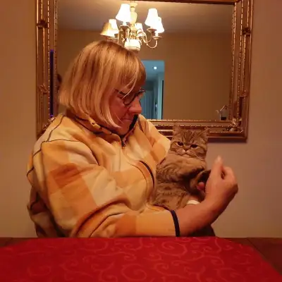 I cannot tell you the number of cats I have had. Our last 3 died at around 18 years of age and lived...