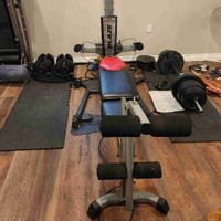 Bowflex Blaze Full Home Gym With Extra Rods/Weight
