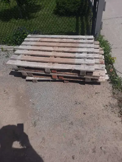 Free skids, View more
