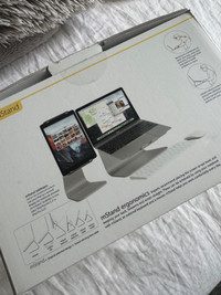 Laptop Stand (Silver): Rain Design 10032 mStand