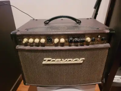 Traynor Studio Master 2-Channel  Acoustic Guitar Amp - 65 Watts, View more