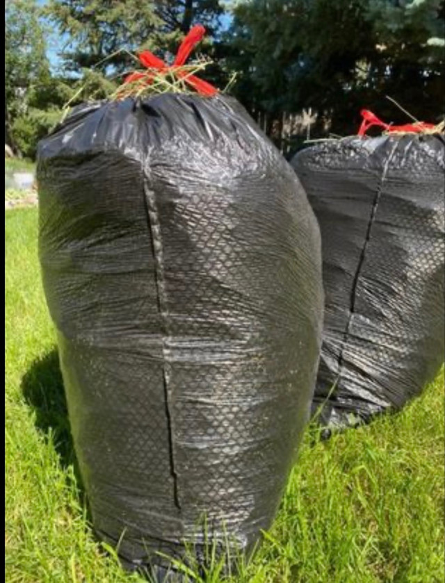Bags of hay in Animal & Pet Services in Calgary - Image 2