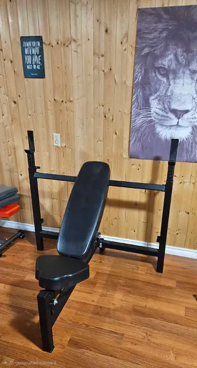 Olympic bench with Olympic bar/weights, View more