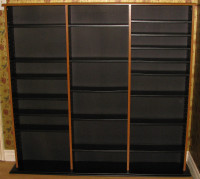 Large Media Organizer Storage Cabinet with Adjustable Shelves