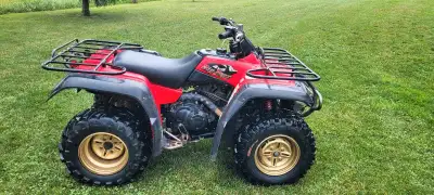For sale: 1999 Yamaha big bear. 5 speed, hi/low range 4x4. Oil and filter just changed as well as th...