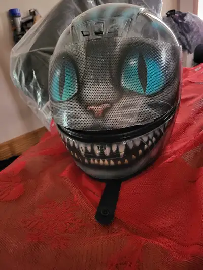 Custom Cheshire Cat Motorcycle Helmet Worn Only A Few Times. Wear It Or Highly Collectable. Very Few...