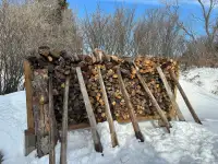 Spruce Firewood