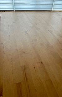 Maple solid wood floor