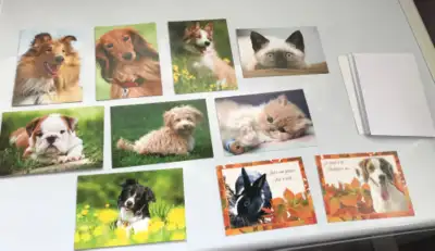 CARTES ANIMALIÈRES SANS TEXTE, View more