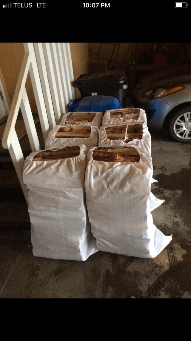 4 Huge Bags Dry Birch Firewood+Kindle+Free Delivery$180 in BBQs & Outdoor Cooking in St. Albert - Image 4