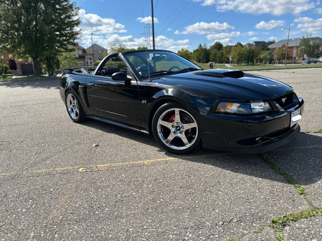 2003 Mustang GT Convertible in Cars & Trucks in Markham / York Region - Image 3