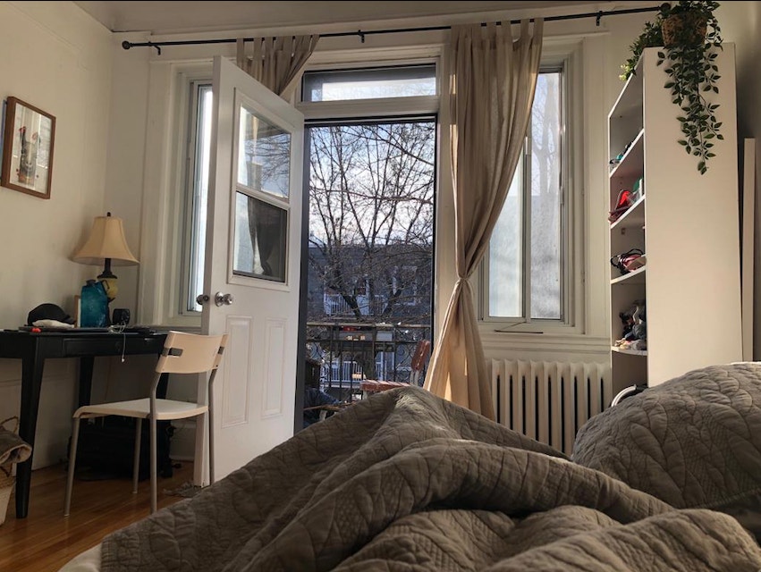 Sunny & Veggie Apt to share in the Heart of Plateau/ Mile-End — photo 1