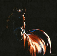 Horse Artwork 
