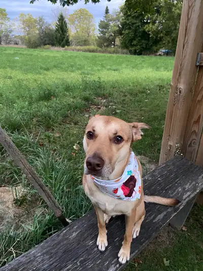 Hello! Fulltime professional specializes in wheelchairs, looking to save for my own house in around...