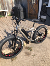 Fat E bike (with hitch bike rack and spare tires)