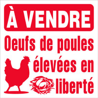 Pancarte  À vendre Oeufs de poules