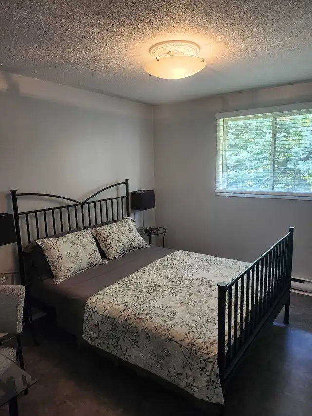 Lakefront Home For Rent 3bd/2bath on huge lot in Long Term Rentals in Cambridge - Image 4