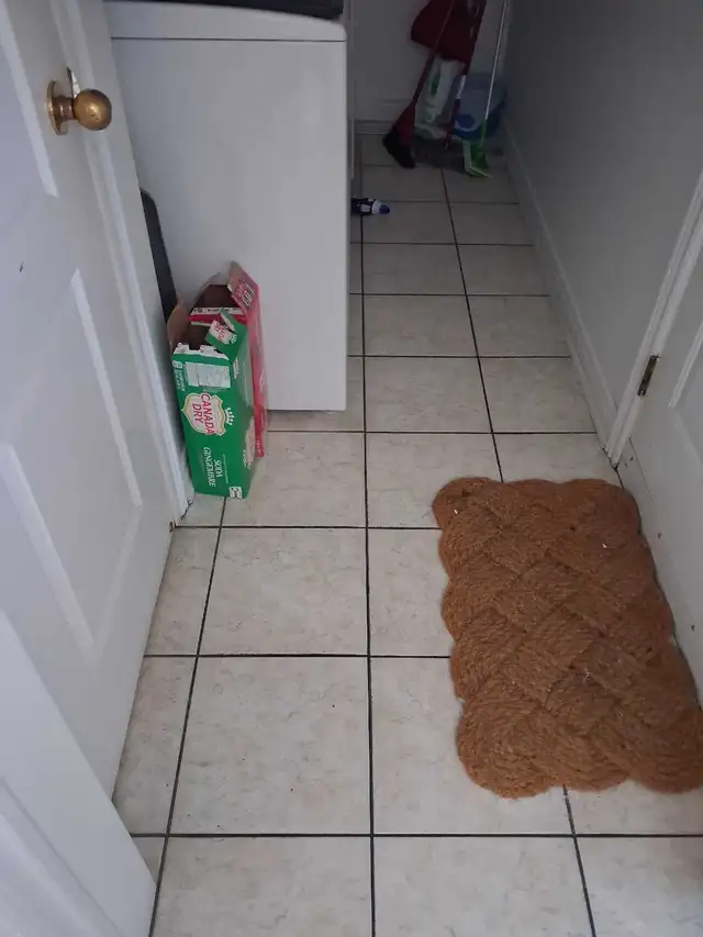 flooring 575591543137249282